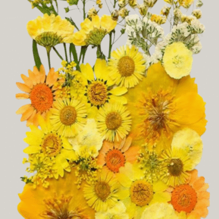 BI-PF43    Orange Yellow Pressed Flower