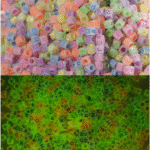 BI-CD17   Glow-In-The-Dark Letter Beads