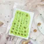 Green Pressed Flower