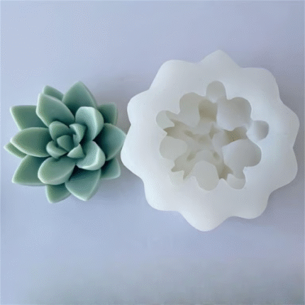 BI-211  Succulent Silicone Mold