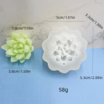 BI-211  Succulent Silicone Mold - Image 2