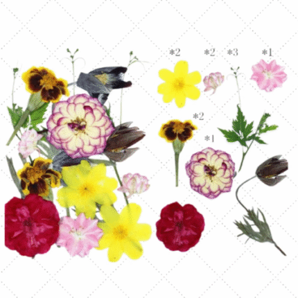 BI-PF46  Pressed Flower