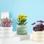 BI-JM144   Spiral Storage Box Mold - Image 2