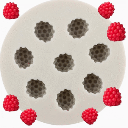 BI-151   Raspberry Silicone Mold