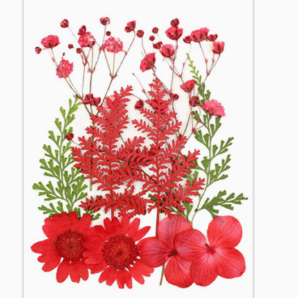 BI-PF44   Red Dried Pressed Flower