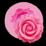 BI-220   Rose candle mold