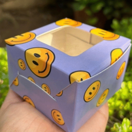 BI-MJ41  PACKAGING BOX