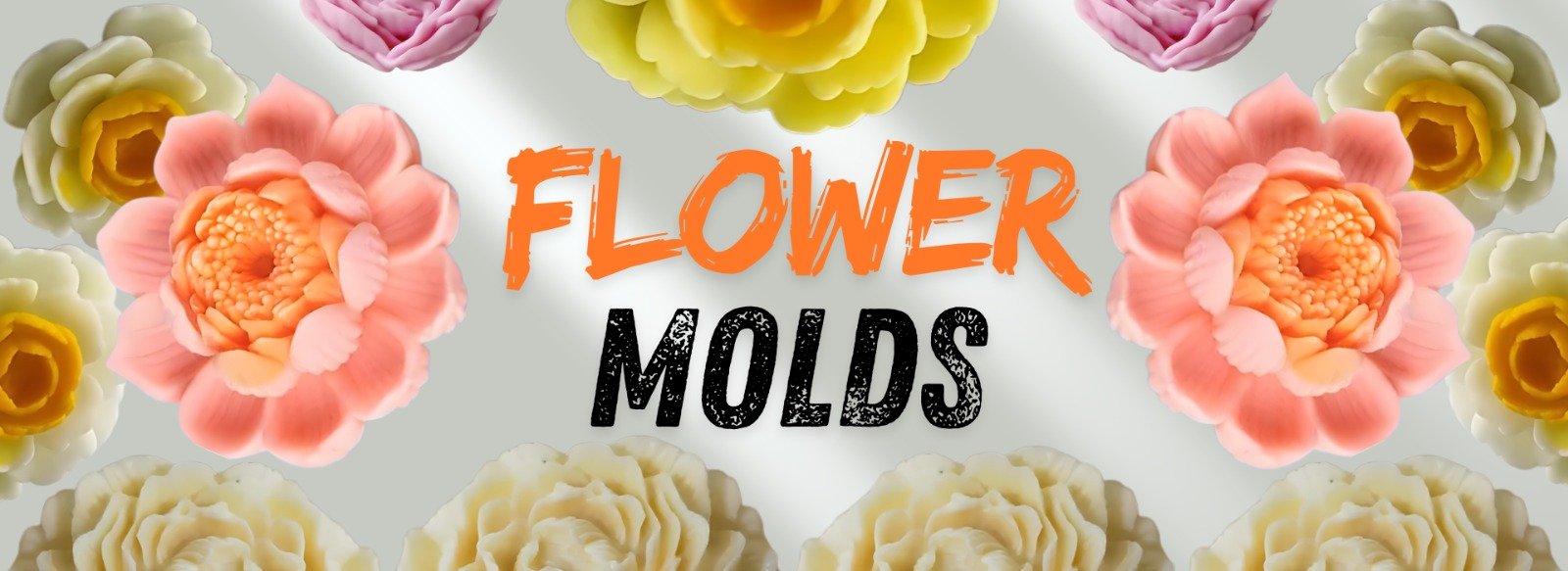 WhatsApp Image 2026-01-09 at 7.22.02 PM