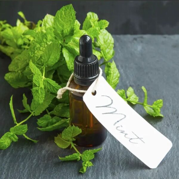 peppermint fragrance