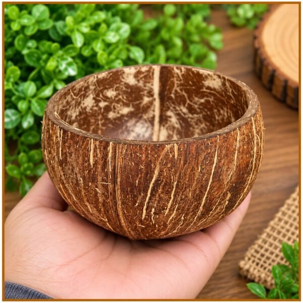 COCONUT SHELL BI-WS24